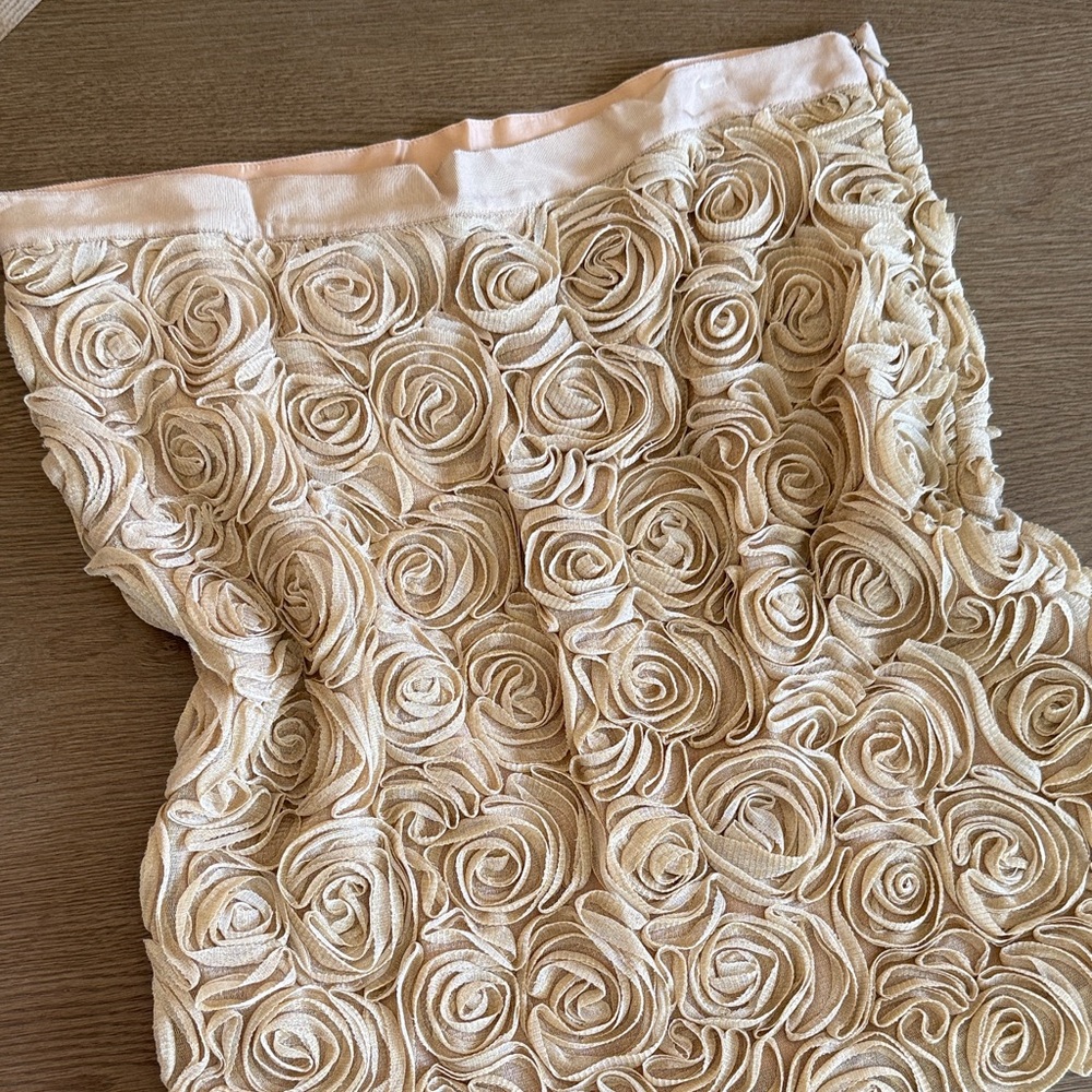 Banana Republic Tan Skirt